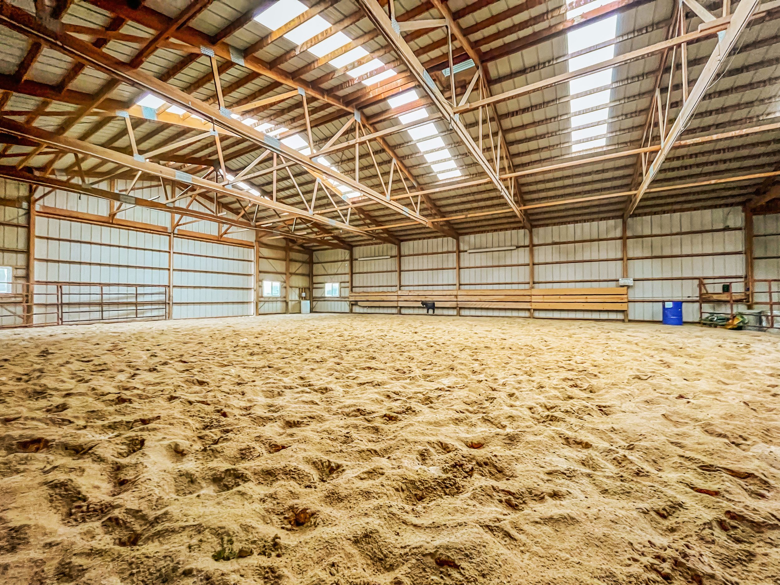 Optimal Muscle Development