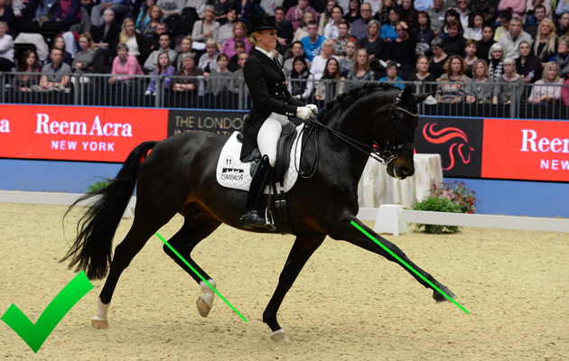 Sustained Energy & Performance