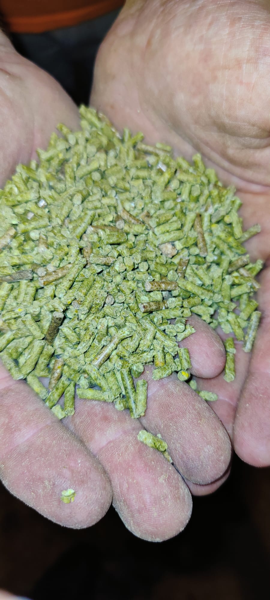 Green Feed Supply hemp biomass pellets